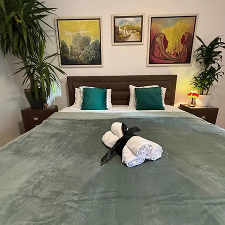 Stylish King Downtown * 포드고리차