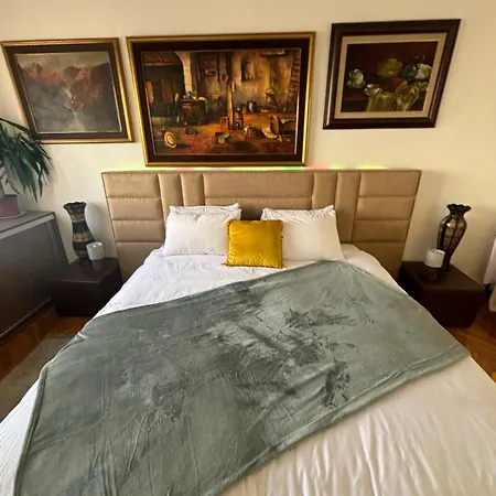 Stylish King Downtown Apartment